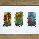 Wildflower Medley