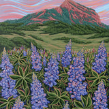 Crested Butte Lupine