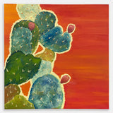 The Color of Cacti