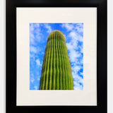 Close Up of a Saguaro (Framed)