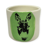 Espresso Shot - green burro