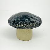 Mushroom - black cap