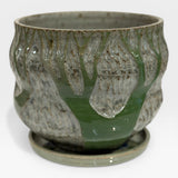 Planter, med - sgraffito green trees