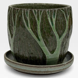 Planter, mini - green celadon sgraffito trees