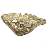 Inside Out: Jill's Eave, Devonian Conversation Piece