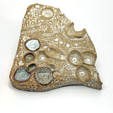 Inside Out: Jill's Eave, Devonian Conversation Piece