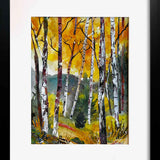 Colorado Autumn