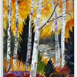 Aspen & Pines