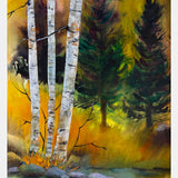 Forest Trio