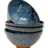 Soup Bowl - Stellar's Jay