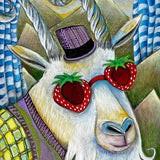 Mountain Goat