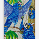 Blue Macaw