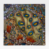 Up Close With Nature: Blue-Ringed Octopus