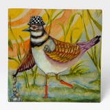 Killdeer Bird