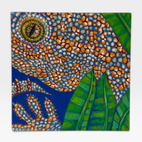 Tokay Gecko