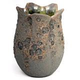 Inside Out: Nitra Olsen, Dark Side of the Moon