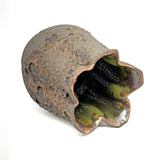 Inside Out: Nitra Olsen, Dark Side of the Moon