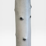 Grove Collection, white crackle 1