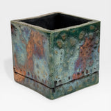 Connected Cube, Algae Bloom 1