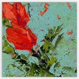 Dancing Tulips