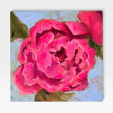 Peonies 1