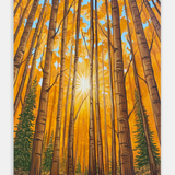 Autumn Forest