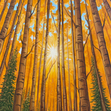 Autumn Forest