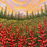Paintbrush Meadow
