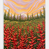Paintbrush Meadow