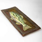 Tray - Bass
